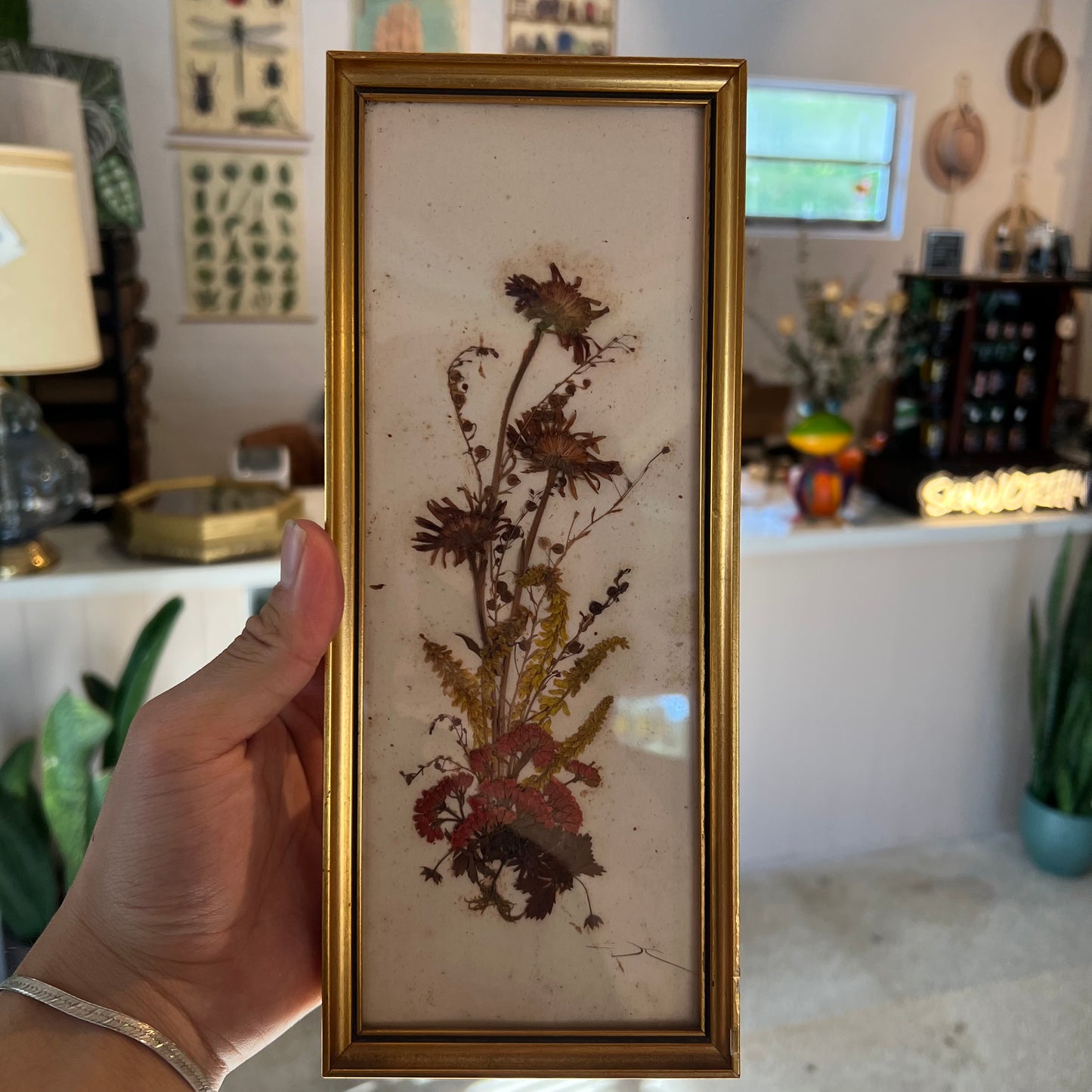 Austria Dried/Pressed Floral Wall Hanging (Large)