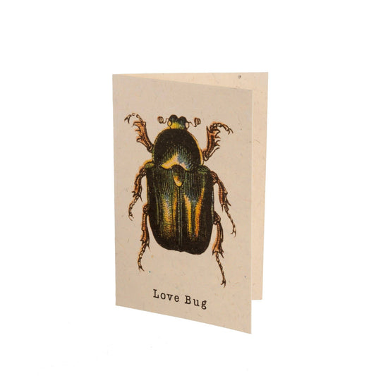 Love Bug Cards