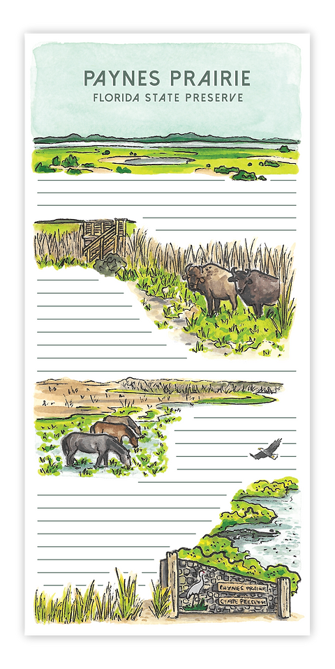 Paynes Prairie Notepad