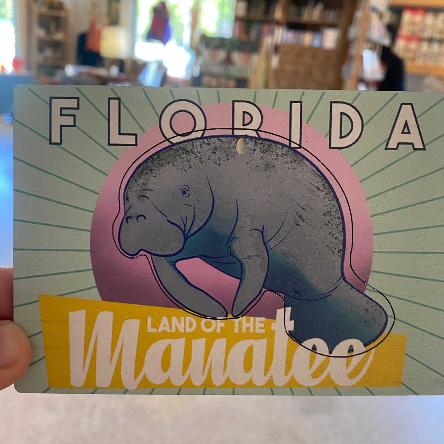Old Florida Vibes Postcards
