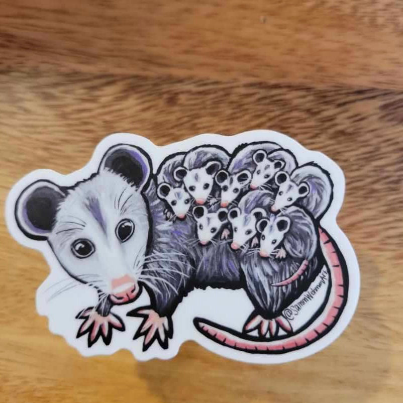 Opossum by Samm
