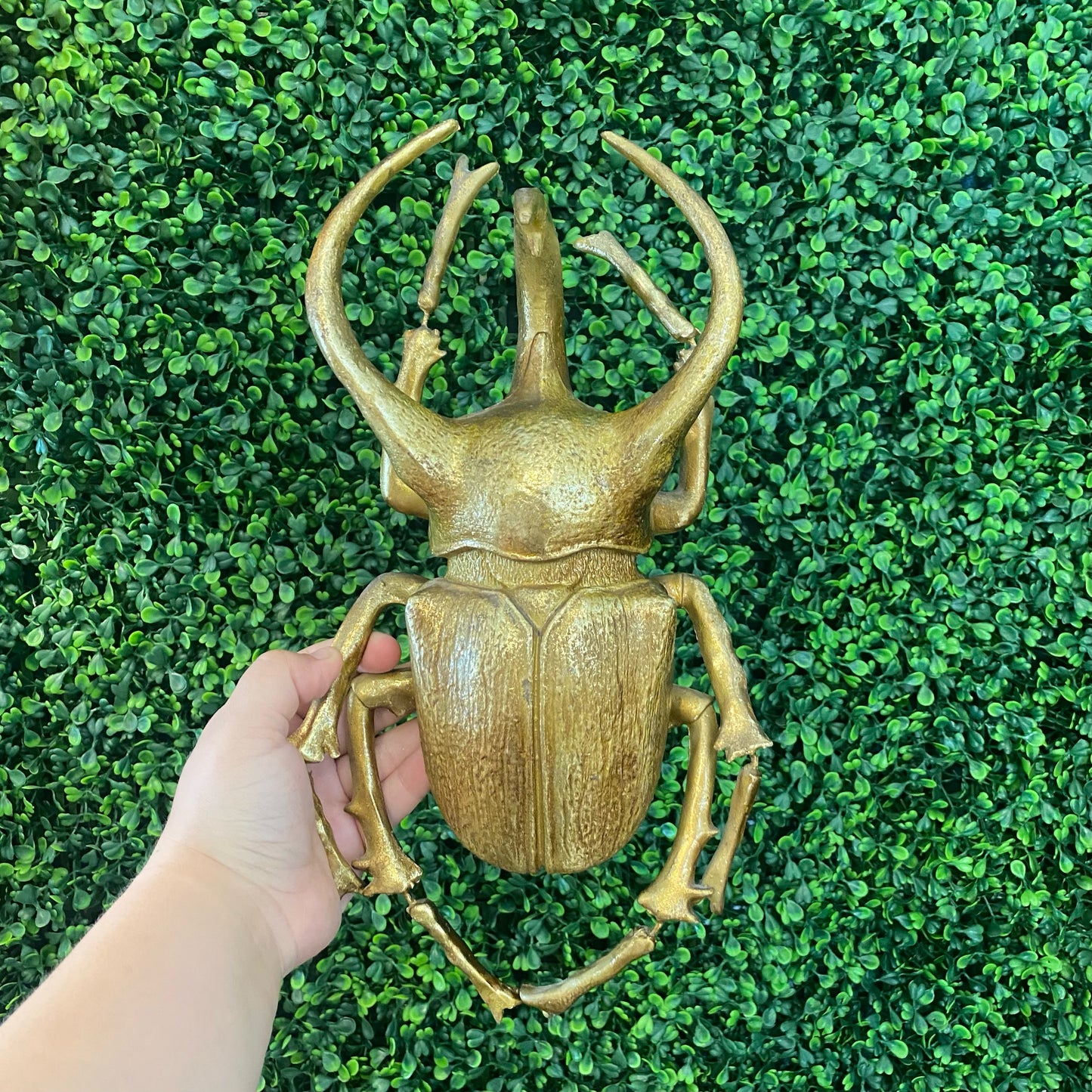 Beetle wall decor