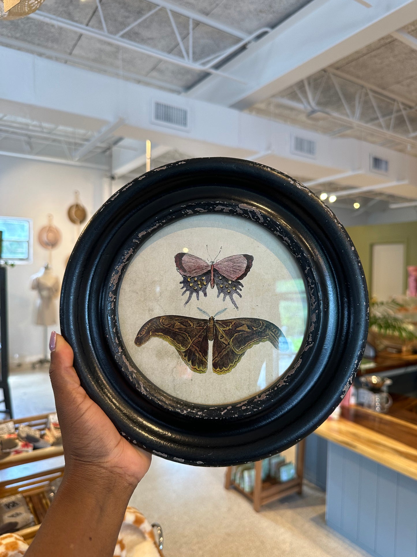 Vintage Inspired Butterfly and Moth Decor