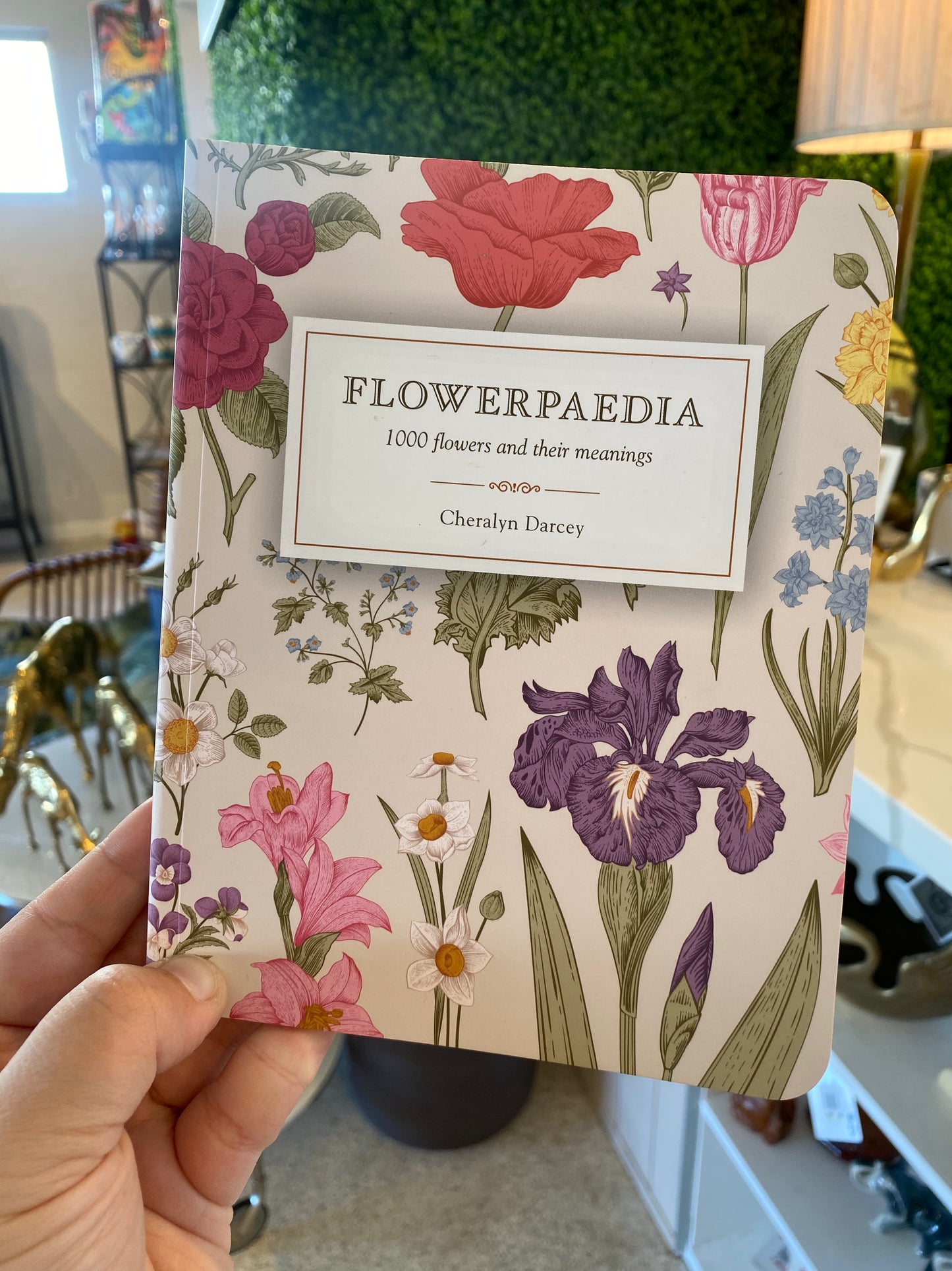 Flowerpaedia