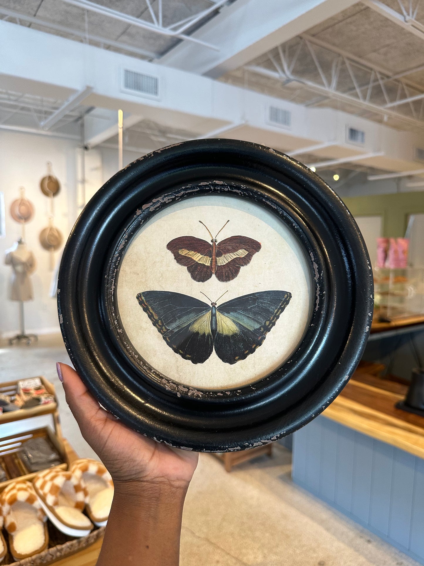Vintage Inspired Butterfly and Moth Decor